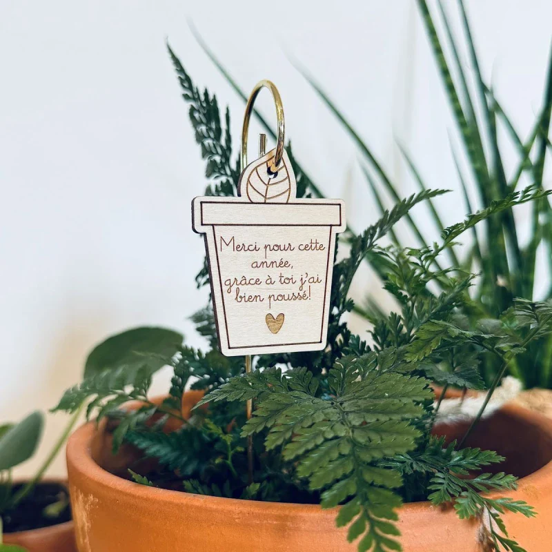 Pic Botanique - Merci pour cette année - Image 4
