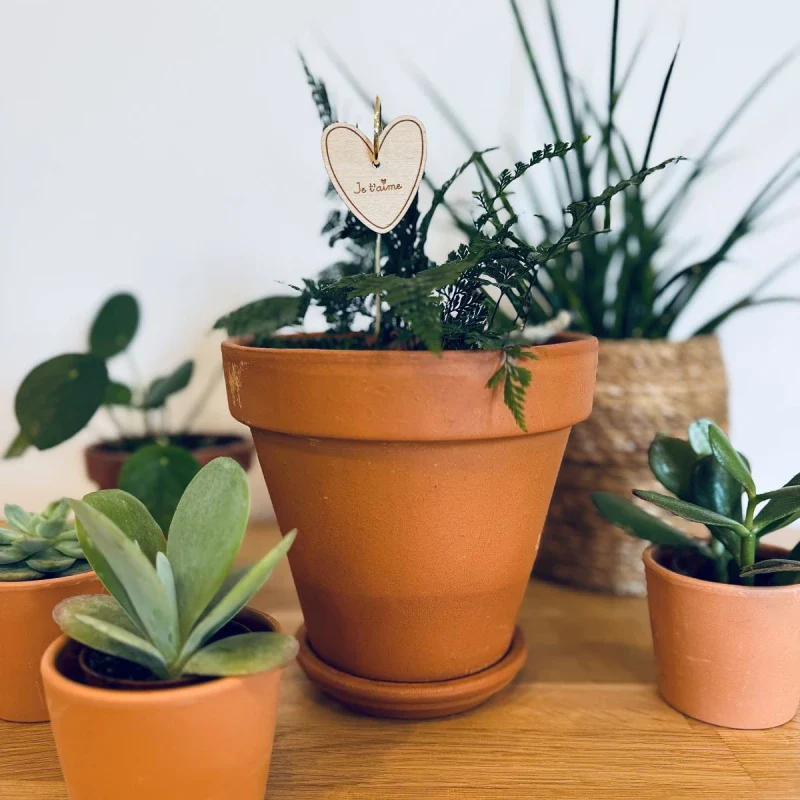 Pic décoratif pour plante- Je t'aime - Image 2