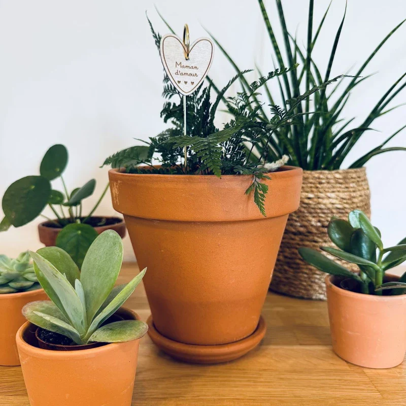Pic décoratif pour plante - Maman d'amour - Image 2