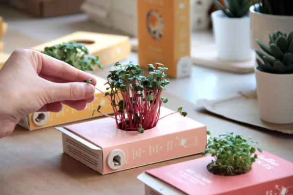 Livre de culture Scrollino Sprouts - Radis - Image 4