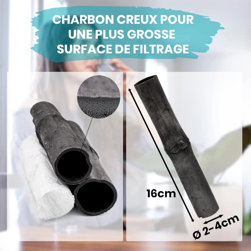 Grand Charbon actif de Bambou Takesumi - Lot de 5 - Image 14
